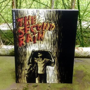 Buku - The Second Rain