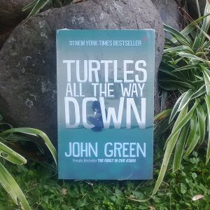 Buku - Turtles All The Way Down
